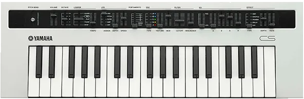 Ремонт Reface Cs в сервисном центре yamaha-remont-center